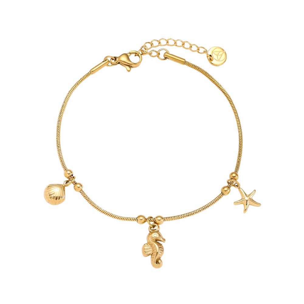 17cm Seehorse Star roestvrijstalen armband